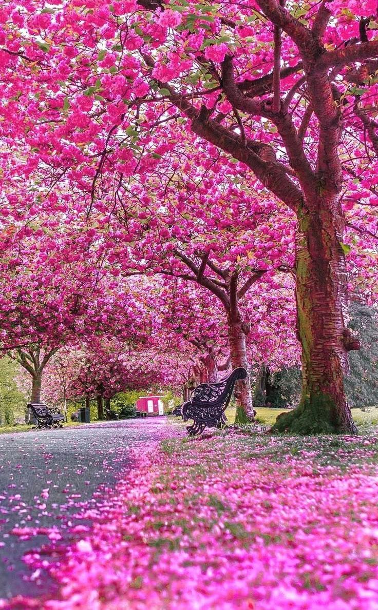 Whispering Meadows Floral Embrace